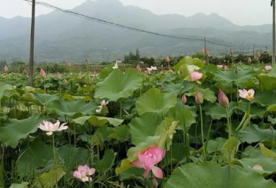 ​冒险岛伤感个性名字(精选76个)