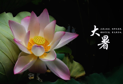 1704921165356295.png image.png