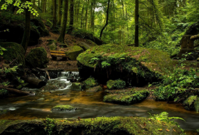 ​伤感流年的QQ网名设计(60个)