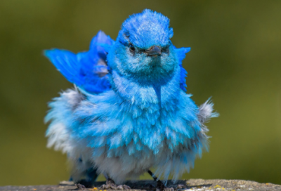 ​男生伤感网名最火最扎心(共53个)