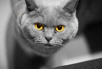 ​二字昵称繁体伤感(精选257个)