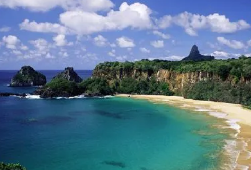 1706683950520516.png image.png