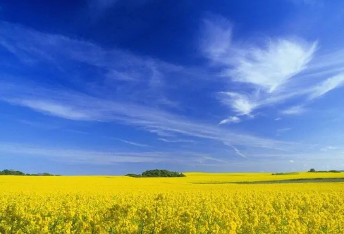 1706687615874589.png image.png