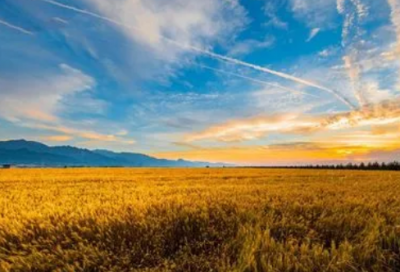 ​好听的幼儿英文名（女宝宝英文名简单好听）