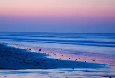 ​h开头的男宝宝英文名（h开头的男生英文名）