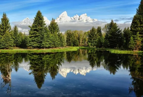 1706693279635035.png image.png