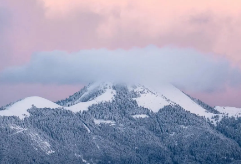 1706701772986225.png image.png