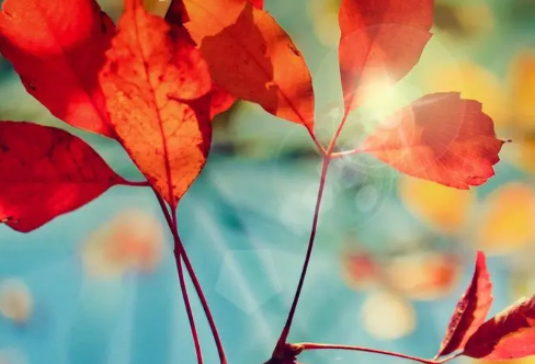 1706707931648768.png image.png