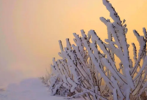 1706708597463397.png image.png