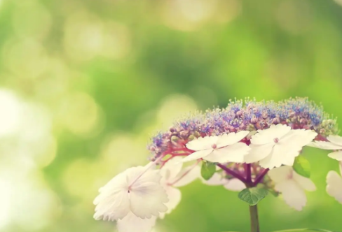 1706710095716294.png image.png