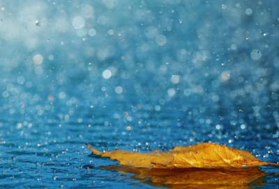 ​适合开零食店的名字(优选196个)