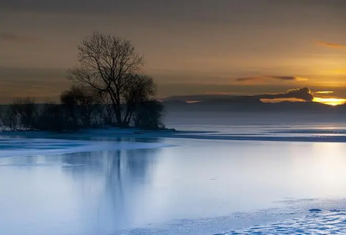 1708535007211065.png image.png