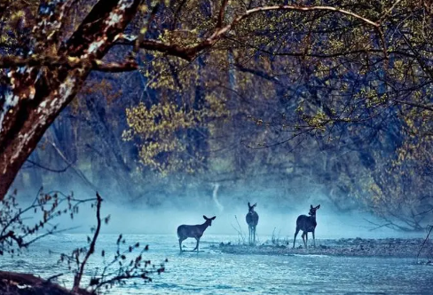 1708535680385079.png image.png